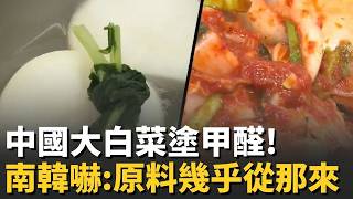 South Korea in a Panic! Chinese Cabbage Found Preserved with Formaldehyde; Over 310,000 Tons Impo...