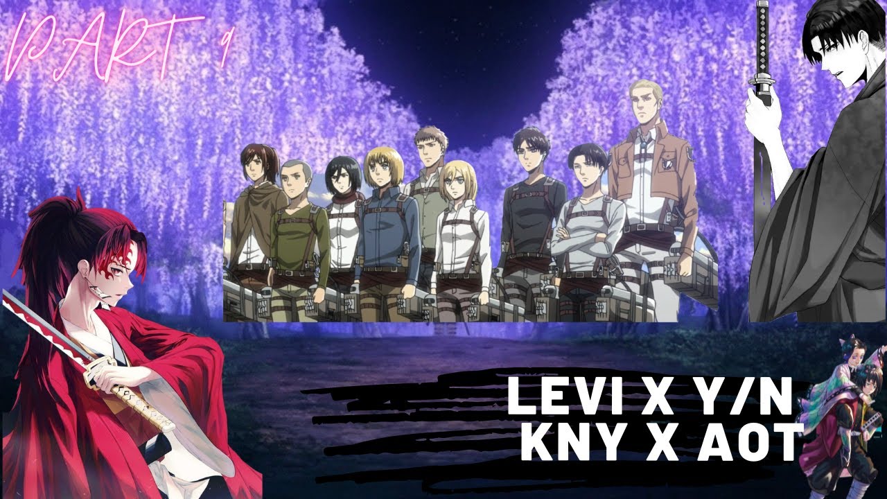 Aot x Kny/Levi x Y/N/Mixed universes/Part 9/Symbol of peace/pls check the comment section.