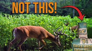 If You Want Better Deer Hunting You HAVE To Do This To Your Property!