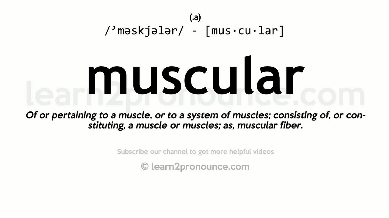 Pronunciation of Muscular  Definition of Muscular