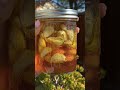 Fermented Garlic Honey! (super immunity booster!)