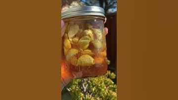 Fermented Garlic Honey! (super immunity booster!)