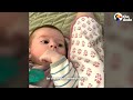 These Two One Week Old Kittens Weighed Less Than 50 Grams | The Dodo