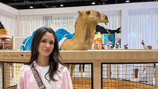 Abu Dhabi Hunting and Equestrian Exhibition (ADIHEX) 2025 🐎
