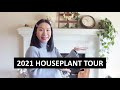 2021 Spring Houseplant Tour! The Good, The Bad, The Ugly.