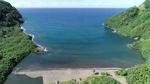 Stranded 2 - Now In Production