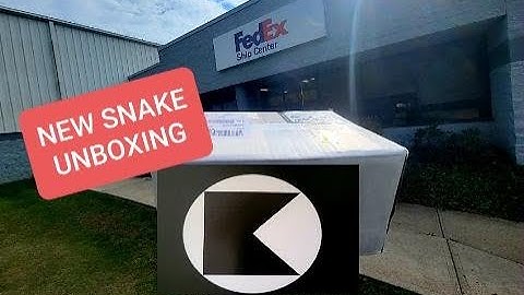 Snake Unboxing !!   Crazy Combo from  Kinova / Justin Kobylka
