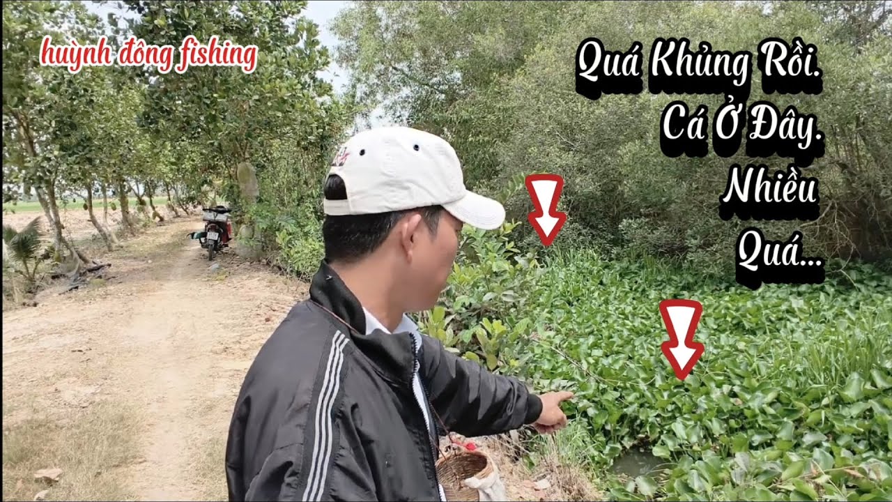 Giật mỏi tay là có thật..Quá khủng luôn nhiều.Bất ngờ khu này cá ghê gớm...