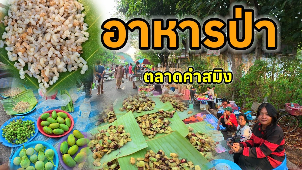 อีสานบ้านเฮา Ep #3 ตลาดบ้านคำสมิง อาหารป่าตามฤดูกาล ตำบลเกษม อำเภอตระการพืชผล อุบลราชธานี