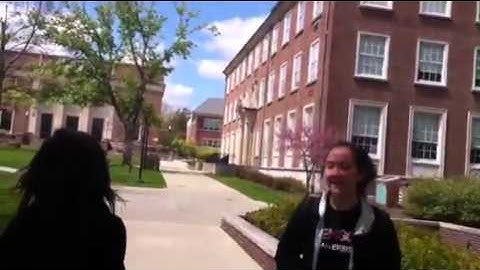 Denison University and DP8