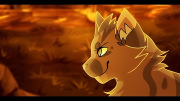 True Light ||Warriors Super Edition MAP Part 8||