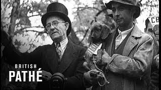 Dog Auction At Virginia (1937)
