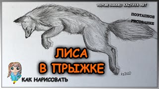 Как нарисовать лису в прыжке карандашом. Лиса прыгает на охоте. поэтапное рисование.