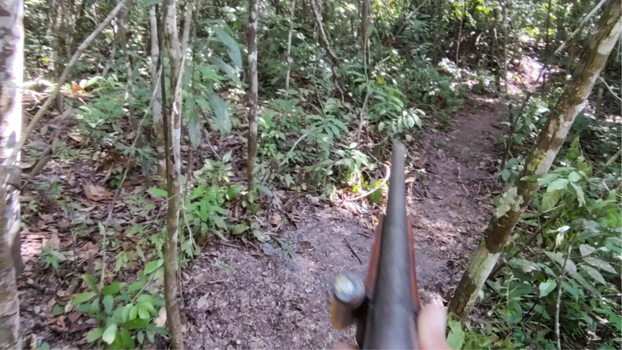 ME PREPARANDO PARA DOIS DIAS E DUAS NOITES NESSA MATA