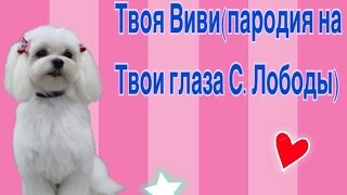 «Твоя Виви»(пародия на песню Лободы «Твои глаза») «Твоя Виви»(пародия на песню Лободы «Твои глаза»)