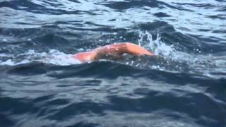 Adam Walker swimming with Dolphins !!!ALL THE FOOTAGE!!!