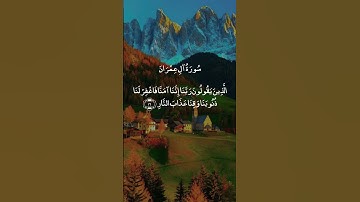 القرآن راحة النفسيه تلاوة خاشعة حالات واتس اب قرآن كريم ✨️✨️