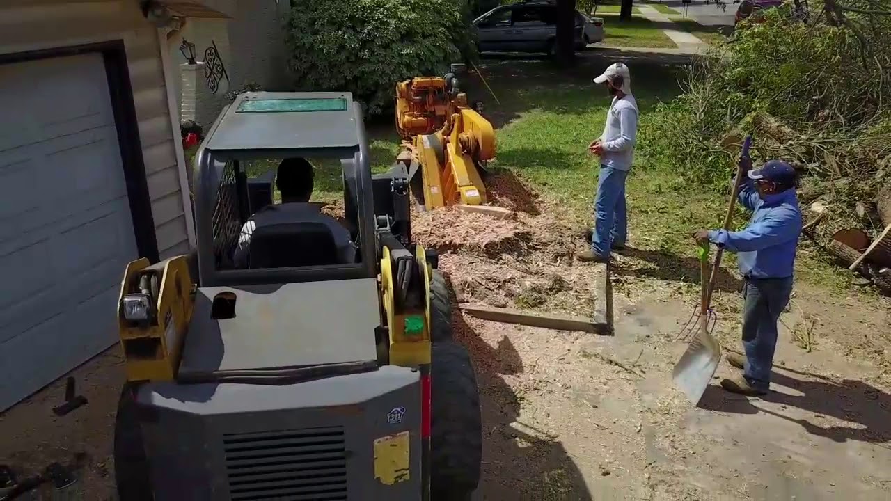 The Stump Guy San Antonio Stump Removal