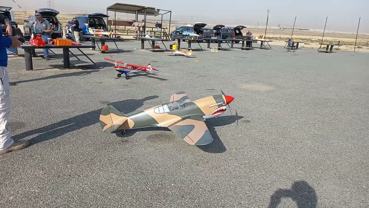 P40 Warkawk 50cc takes flight 