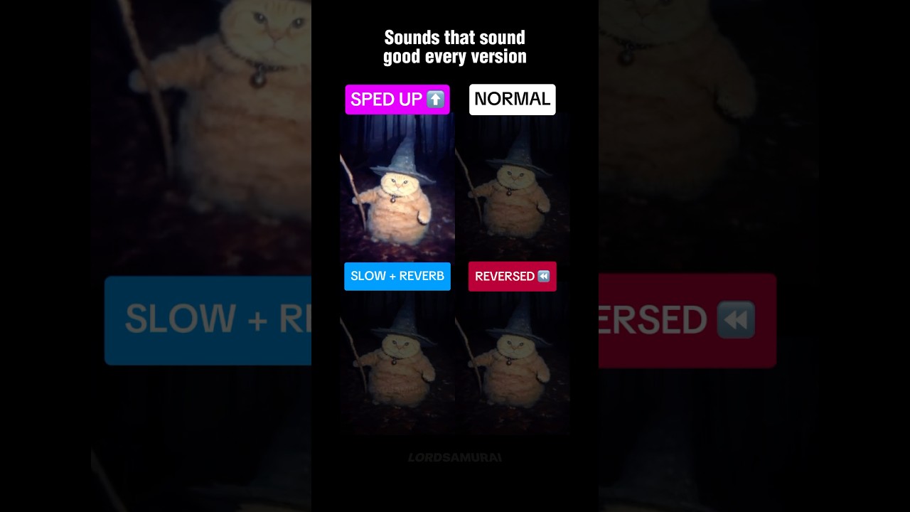 Wizard cat, but sounds that sound good every version