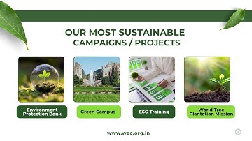 World Environment Council Vision 2030 #environment #nature #tree #sustainability #unitednations