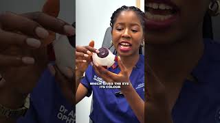What Is A Cataract? Dr Anesu Madikane Explains Eye Anatomy And Cataracts