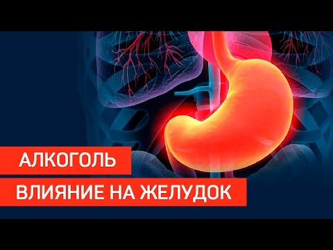 Серия "Береги Себя" Проект "Общее дело". Влияние алкоголя на желудок