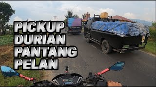 KETIKA PICKUP DURIAN LAGI KEJAR TAYANG