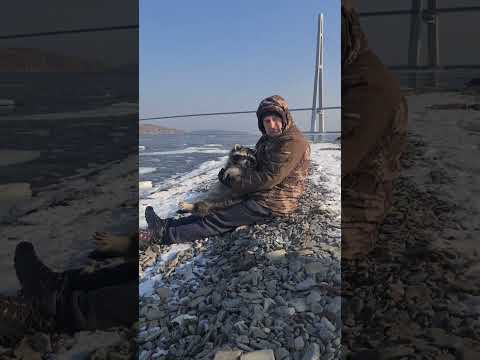 Че реально енот?😂👍🏻