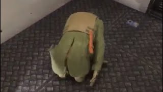 SCPSL clips that reduce my lifespan