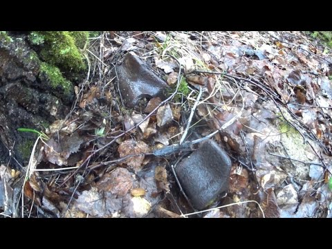 ЧТО МОЖНО НАЙТИ