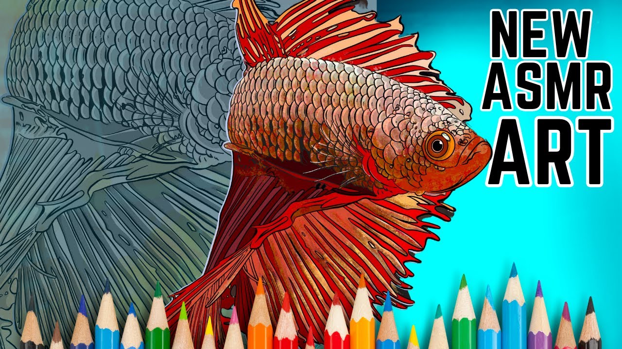 Color Fish Asmr Mesmerizing ASMR Art: Coloring a Stunning Beta Fish in 1HR+ | Ultimate ...