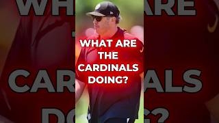 WHAT Are The Cardinals Thinking! #nfl #cardinals #shorts New Arizona Cardinals Head Coach Candidate