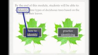 Aligning Learning Activities