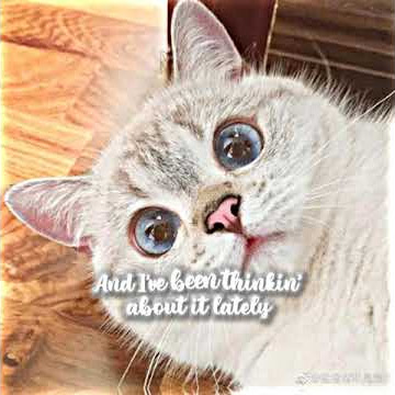 preset xml Night changes (sad vibes) vid edit