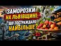 🌱❄️Через квітневі приморозки в Україні може постраждати врожай фруктів та ягід