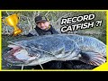 RECORD Wels CATFISH 🤯😳 ?! Monster CATFISH vs ANGLER🔥 | Vertical Fishing on the River🎣 | Big Catfish💥