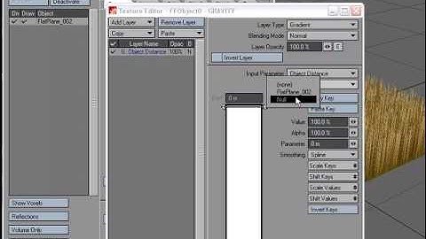 Animating by William Vaughan for NewTek