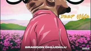 Brandon Dhludhlu - Nguwe (feat. NEO DUBE, Jinger Stone & Nneza)
