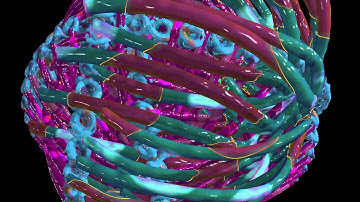 Mutator 2 organic 18