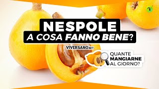 MEDLARS: What are their BENEFITS How are they eaten || ViverSano.net