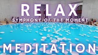 1 Hour Of Deep Art Meditation Immersive Water Sound & Visual Relaxation From Paris