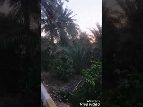 تعالوا ويانه جوله ترفيهيه في جنة الله في ارضه بساتين كربلاء الى جوار الامام الحسين ع