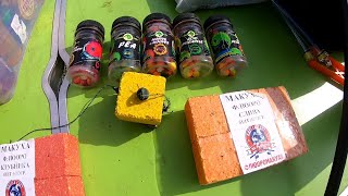 видео: Рыбалка на Днестре ,база Белуга,1 августа 2024 г. картинка: Рыбалка на Днестре ,база Белуга,1 августа 2024 г.