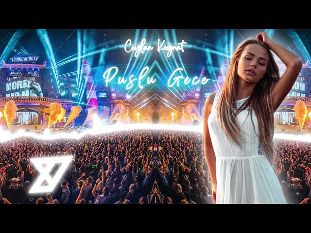 Ceylan Koynat - Puslu Bir Gece (Y-Emre Music Club Remix) class=