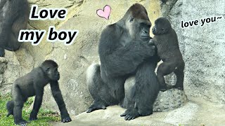 Sweet interaction between gorilla dad and son / D'jeeco & Ringo / 大猩猩迪亞哥跟兒子愛的互動