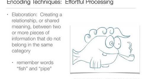 Intro Psych: 7.4  Memory-Encoding