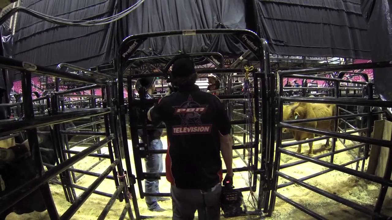 the Bull YouTube the Bull YouTube