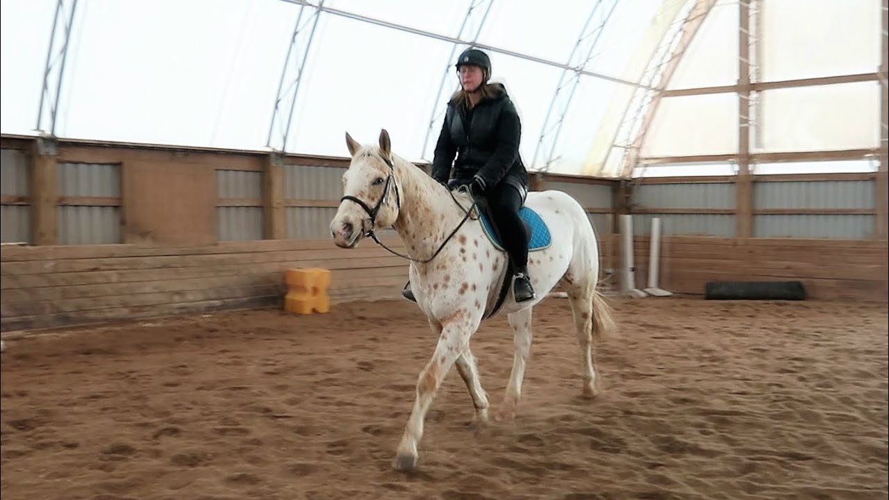 First Time Riding The New Horse! - YouTube