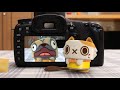 Youtube Thumbnail title